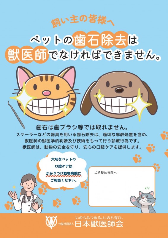 普及啓発ポスター（歯石除去）-20241115