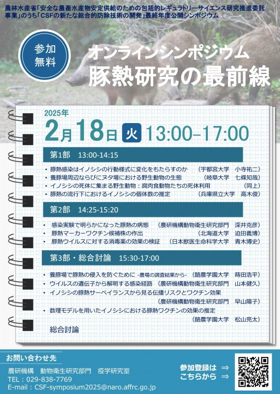 niah_CSFsymposium2025_flyer